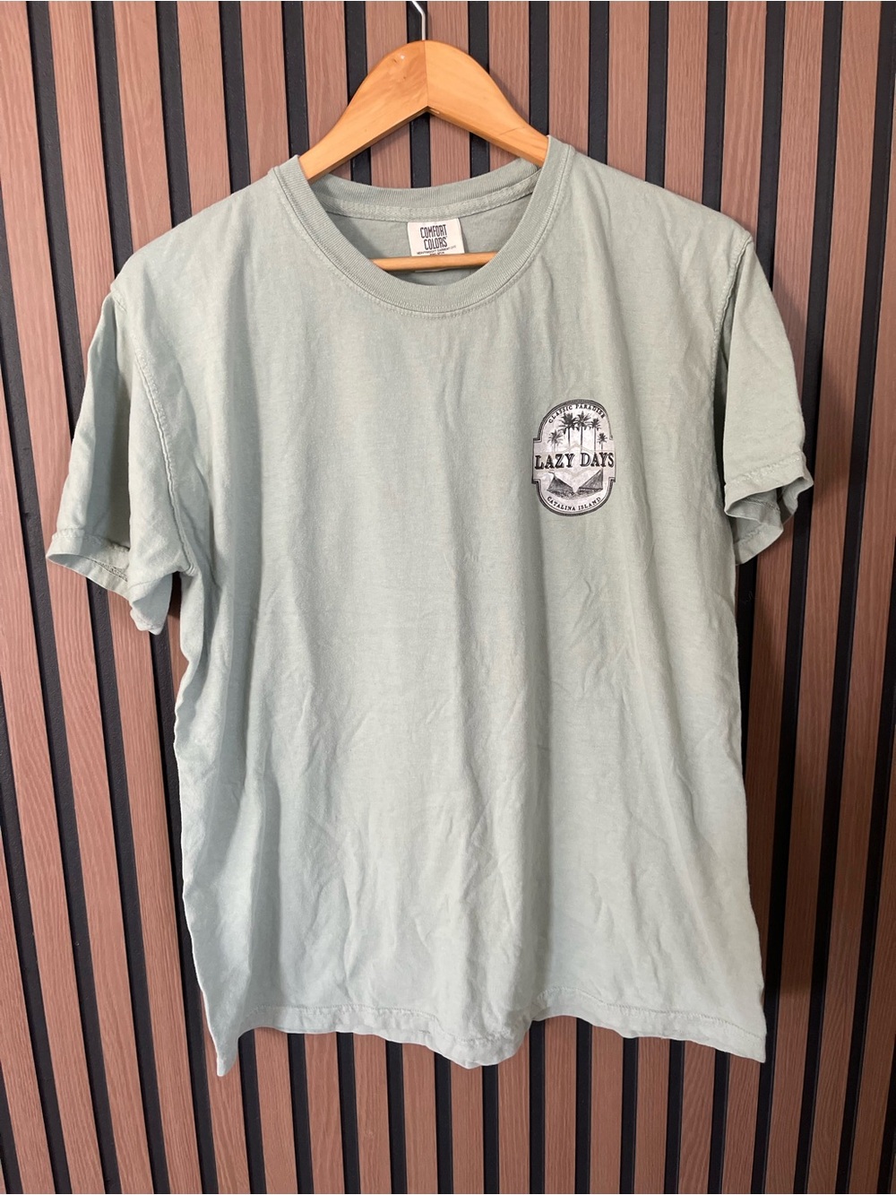 Comfort colors lazy days tshirt